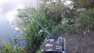 Рыбалка на Охтинском разливе ( река Охта)