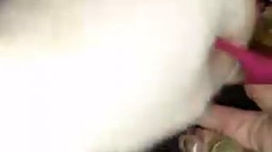 ДЕВЯТЬ ФАРТОВЫХ МОНЕТ... СИЛЬНЫЙ ЗАГОВОР... ДЛЯ ВСЕХ... ВЕДЬМИНА ИЗБА