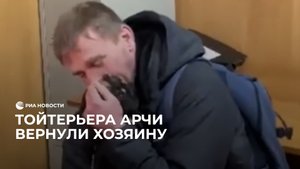 Тойтерьера Арчи вернули хозяину