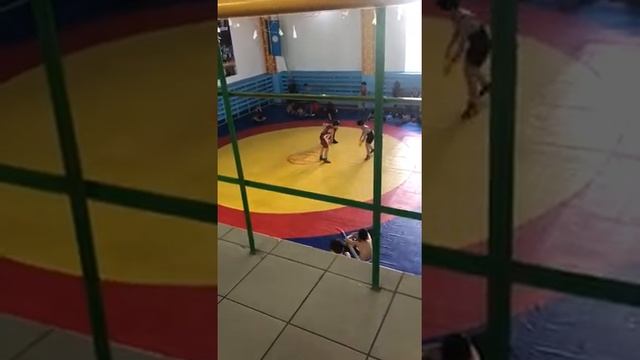 Вольная борьба Якутск смотреть онлайн