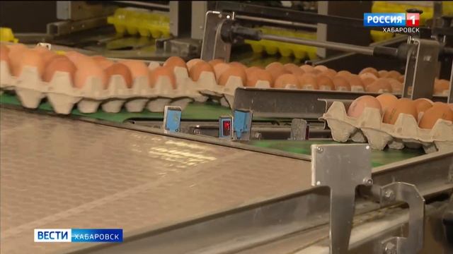 Краевой Минпромторг проведёт переговоры с торговыми сетями по регулированию цены куриных яиц смотреть онлайн