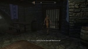 Skyrim guards can be so stubborn