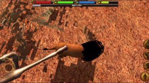 Lion Simulator Game | Lion Hunting Simulator Game | Wild Animal Simulator Lion Vs Tiger Game - #2