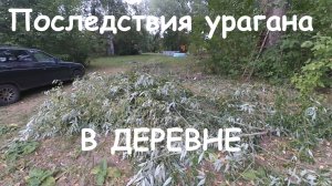 Ураганный ветер прошел по ДЕРЕВНЕ и сломал деревья || НОВЫЕ ЛЮДИ в заброшенном поместье