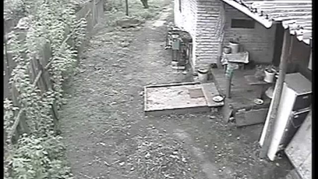 Фетисовы не боясь камеры воруют наши цветы. смотреть онлайн