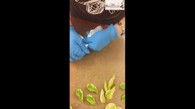 Роза из карамели. Запись прямого эфира смотреть онлайн