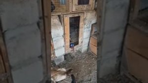 о шамо в куйбеш абдурахмони чоми на прадажа