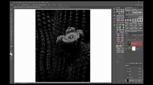 Color to black and white conversion using TKActions V6