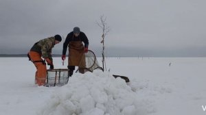 Зимняя рыбалка/ промысел наваги на Белом море #fishing #рыбалка #деревня