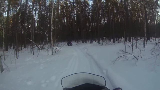 Крайняя поездка на снегоходах. Лес. Февраль 2014. Часть 2 смотреть онлайн