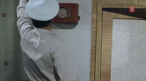 Полосатый рейс