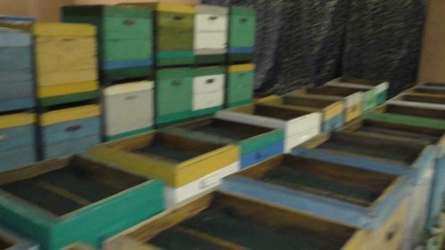 Окончание зимовки. Оценка состояния пчелосемей по окончании зимовки. смотреть онлайн