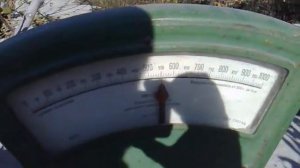 гранат крымский полосатый