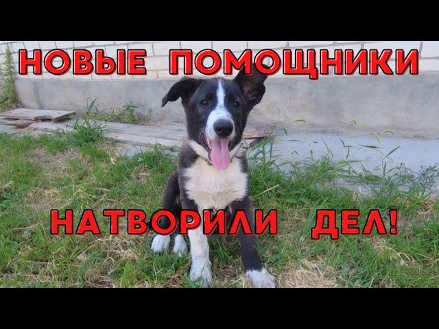 КУПИЛИ ДОМ НА ЮГЕ | МОТИВАЦИЯ НА УБОРКУ | ПЕРЕЕЗД НА ЮГ #купилидомнаюге #мотивациянауборку #хутор