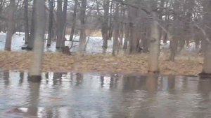 Аэролодка с мотором BMW R 1100