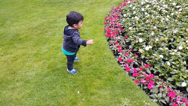 ВЛОГ: Ананас, Киран, и наш братик Вася смотреть онлайн