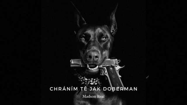 Chráním tě jak doberman смотреть онлайн