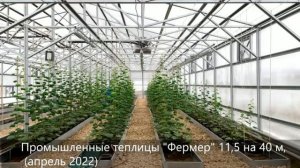 Теплица "Фермер-11,5"
