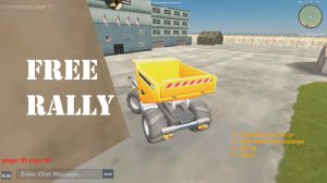 Free rally: vice