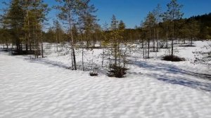 Купил снегоход Lynx 5900ST