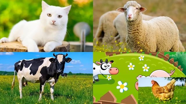 Животные для детей. Изучаем домашних животных. Развивающее видео для малышей