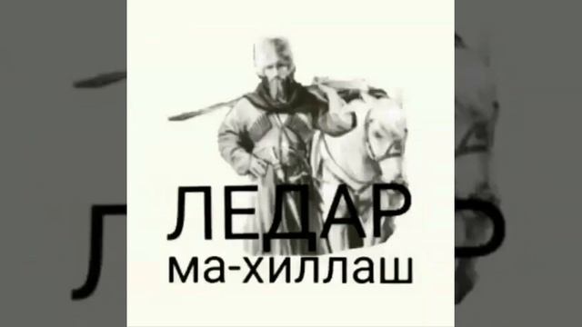 Нохчи илли эшар Ледар ма хиллахь