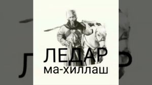 Нохчи илли эшар Ледар ма хиллахь
