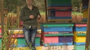 Геннадий Семыкин в ТВ передаче "Нужное подчеркнуть" 2 часть