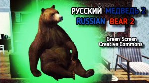 МЕДВЕДЬ GREEN SCREEN ФУТАЖ. Хромакей анимация медведя на зелёном фоне.