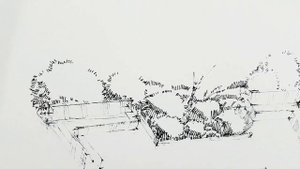 Участок ландшафтный дизайн-как нарисовать сад Ландшафтный скетчинг линером Fineliner. Кичигин Эдуар