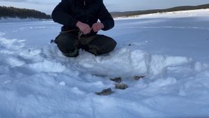 Зимняя рыбалка на окуня с подводной камерой