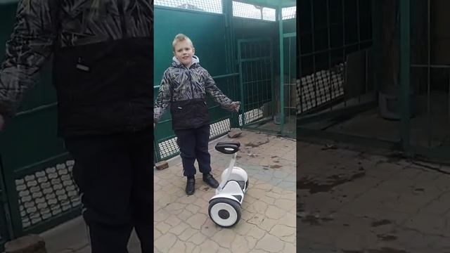 ура, сигвей! обзор сигвея от сиоми смотреть онлайн