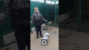 ура, сигвей! обзор сигвея от сиоми