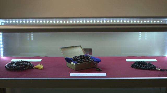 Выставка "Радужное тело" смотреть онлайн