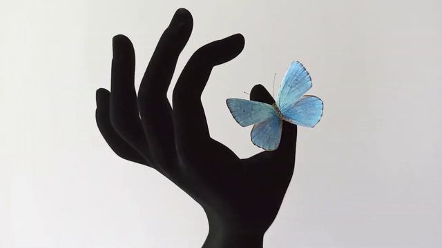 Кольцо Бабочка Голубянка смотреть онлайн