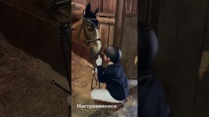 VLOG с соревнований по конному спорту.Кавалети.