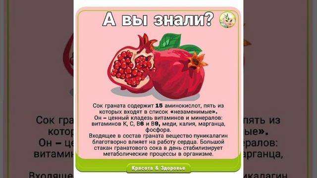 ПОЛЬЗА ГРАНАТА смотреть онлайн