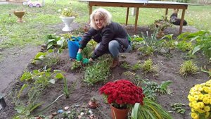 Какие многолетники обрезать осенью. Как подготовить многолетники к зиме