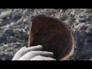 Место где был найден клад!