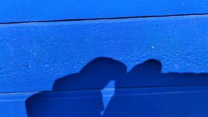 ОБЗОР БЕНЕНХАУС