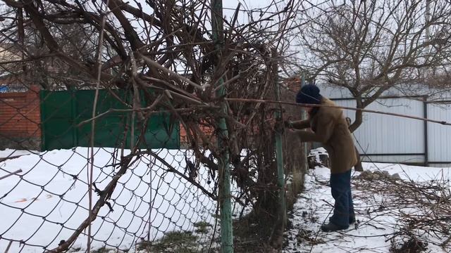 ДЕНЬ ИЗ МОЕЙ ЖИЗНИ / ВЛОГ