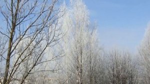 "Именины снега". Стихи Елены Яхонтовой