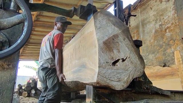 Woodworking. Sawing Old Teak Wood Without Bark 10 Years Soaked At Sawmill