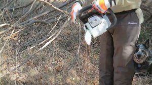 Coop's Simple Review - STIHL MS 251 C-BE