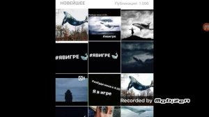 Синий кит #явигре ( поговорим про синего кита)