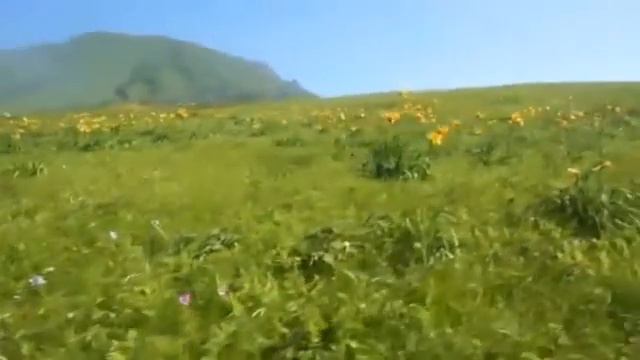 #Шикотан.  Вечерняя прогулка