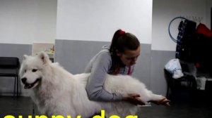 Уроки хендлинга (часть 2)