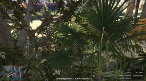 GTA 5 Online Глитч Кайо Перико с отключением интернета