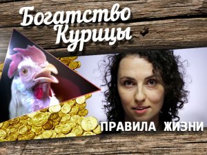 Богатство Курицы: Москвич vs. петербурженка