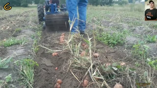 КАК ВЫКОПАТЬ КАРТОФЕЛЬ БЫСТРО !? ТОП 10 НАВЕСНОГО ОБОРУДОВАНИЯ ДЛЯ УБОРКИ КАРТОФЕЛЯ,И ЦЕНЫ 2022 смотреть онлайн
